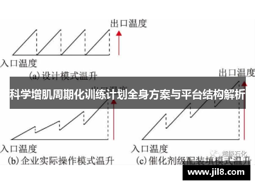 科学增肌周期化训练计划全身方案与平台结构解析